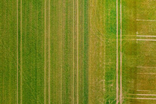 Lines of tractor tracks in a green field in spring from a direct overhead drone perspective