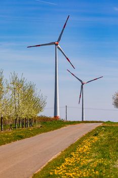 A dirt road next to young fruit trees in front of huge windmills in the background
