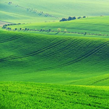 Beautiful landscape with spring nature. Waves on the field. South Moravia - Moravian Tuscany - Czech Republic Europe..