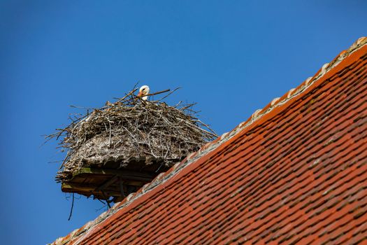 A stork's nest with a stork as an eyrie in spring on a roof with red tiles