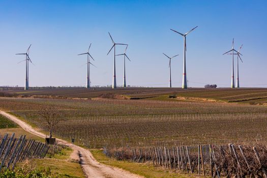Several wind turbines in front of vines in a German landscape