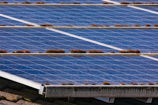 Green energy generation by PV modules on the roof of private houses