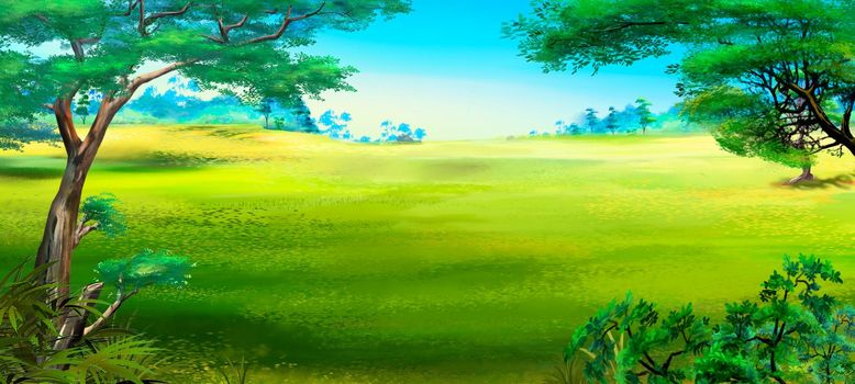 Forest glade on a summer day. Digital Painting Background, Illustration.