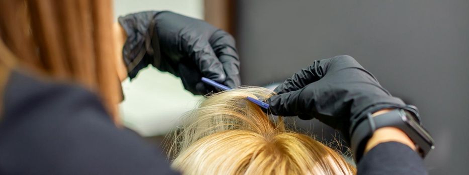 Female hairdresser makes hairstyle for young blonde woman wearing gloves in hair salon