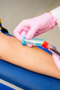 Nurse on pink gloves takes blood sample from vein from female patient in medical laboratory