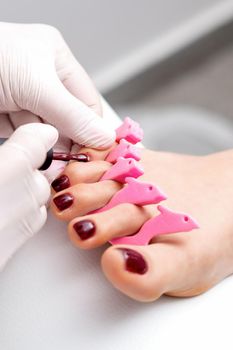 Manicure master is painting on female toenails with maroon nail polish by brush wearing white gloves