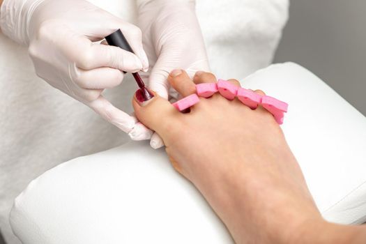 Manicure master is painting on female toenails with maroon nail polish by brush wearing white gloves