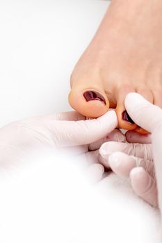 Manicure master holds female toenail with maroon nail polish wearing white gloves