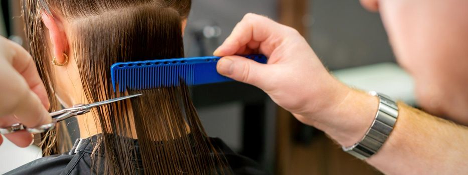 Close up of hands of male hairdresser cutting long hair of young woman holding scissors and comb at the salon. Rear view
