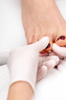 Manicure master holds female toenail with maroon nail polish wearing white gloves