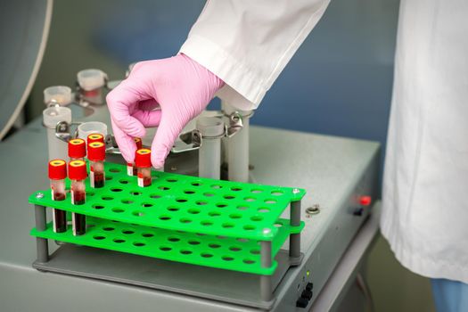 Medical technician taking blood sample tube from rack in the research laboratory