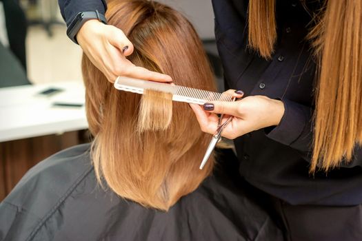 Back view of hairdresser cuts red or brown hair to young woman in beauty salon. Haircut in hair salon