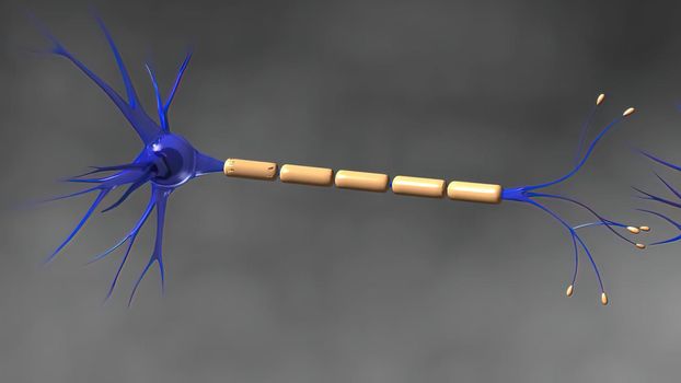 A Neuron Releasing Neurotransmitter Molecules. 3d illustration