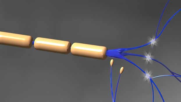 The human brain Neuron Neurons in action. electrical impulses between neuronal connections. 3d illustration