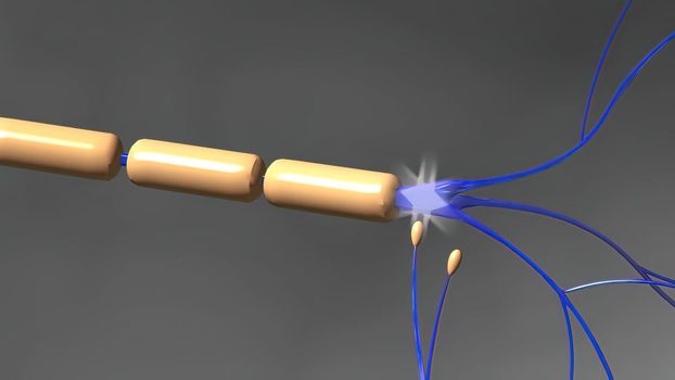 The human brain Neuron Neurons in action. electrical impulses between neuronal connections. 3d illustration