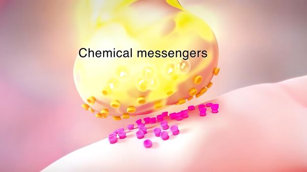 Neurotransmitters are chemical messengers in the body 3d illustration