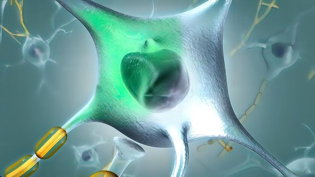 A neuron generates an electrical impulse, causing the cell to release its neurotransmitters . 3d illustration