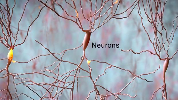 The human brain Neuron Neurons in action. electrical impulses between neuronal connections 3d illustration