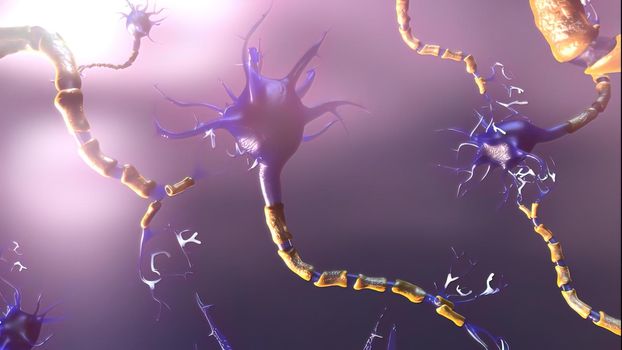 Functionality of neurons consisting of cell body, dendrites and an axon 3d illustration