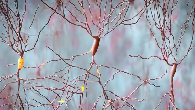 The human brain Neuron Neurons in action. electrical impulses between neuronal connections 3d illustration