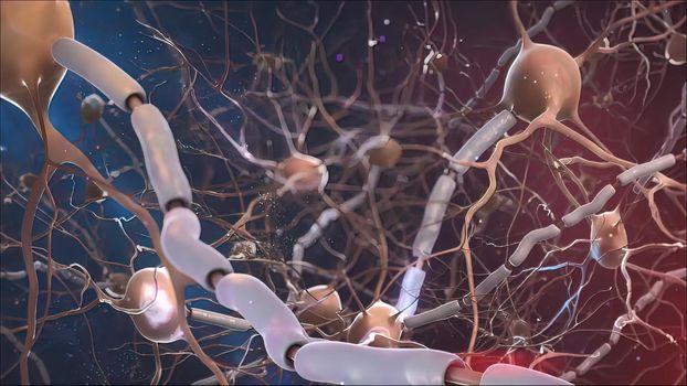 neurobiology, nervous system cells 3d medical 3d illustration