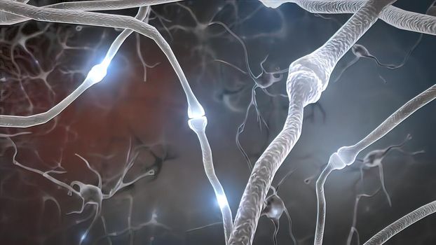 Neuron and synapses 3d medical illustration. Neurogenesis, remyelination, myelin,