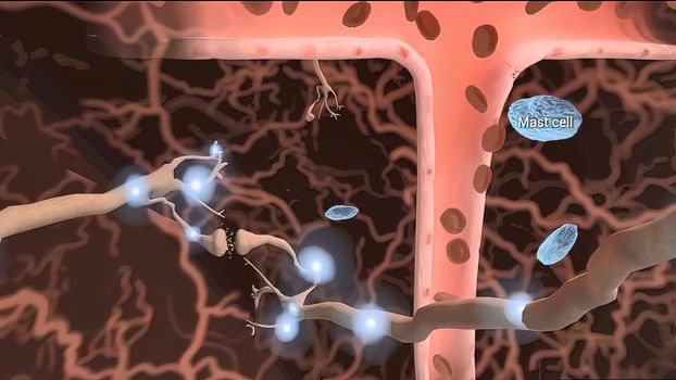 neurobiology, nervous system cells 3d illustration