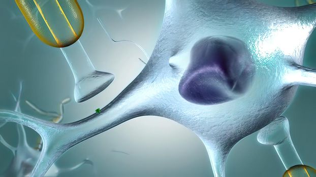 A neuron generates an electrical impulse, causing the cell to release its neurotransmitters . 3d illustration