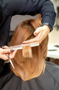 Close-up back view of hairdresser cuts red or brown hair to young woman in beauty salon. Haircut in hair salon