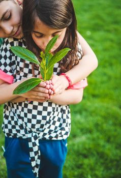 Children take care of nature tree in their hands. Selective focus. Kid.