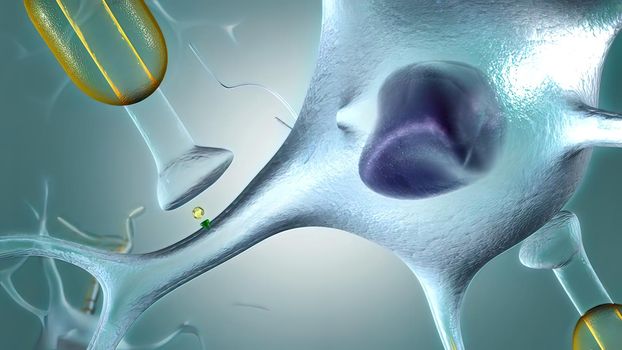 A neuron generates an electrical impulse, causing the cell to release its neurotransmitters . 3d illustration