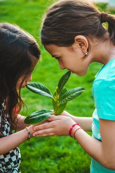 Children take care of nature tree in their hands. Selective focus. Kid.