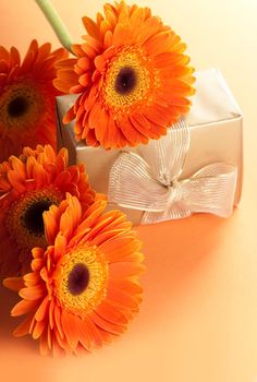 orange flowers and gift in golden packing