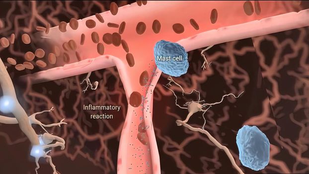 neurobiology, nervous system cells 3d illustration