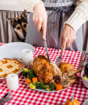 Happy Thanksgiving Day. Autumn feast. Woman celebrating holiday cooking traditional dinner at kitchen with turkey, vegetables and pumpkin pie, dog looking at table from behind