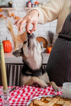 Happy Thanksgiving Day. Autumn feast. Animal allergy. Woman celebrating holiday cooking traditional dinner at kitchen with turkey, giving her dog a piece to try