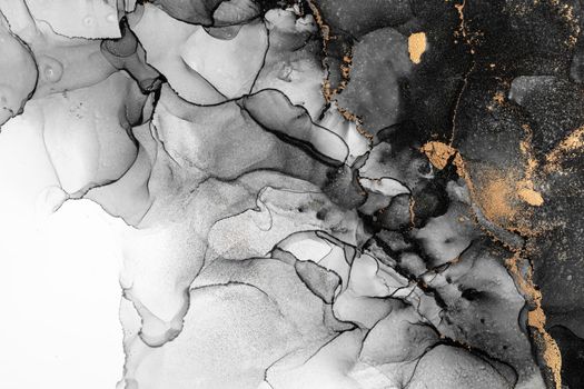 Marble ink abstract art from exquisite original painting for abstract background . Painting was painted on high quality paper texture to create smooth marble background pattern of ombre alcohol ink .