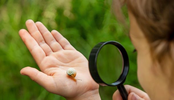 The child looks at the snail through a magnifying glass. Selective focus. Nature.