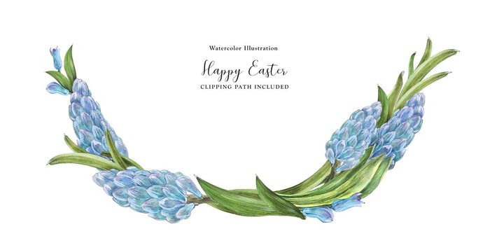 Hyachinth watercolor spring floral arc on a white background, clipping path included