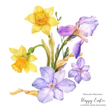 Decorative watercolor bouquet with spring flowers daffodil and iris and freesia on a white background, clipping path included