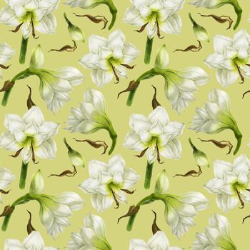 White Hippeastrum watercolor seamless pattern on a light green background with clipping path