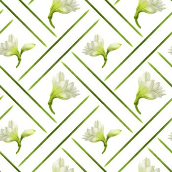 White Hippeastrum flowers on a green cell, , watercolor seamless pattern on a white background with clipping path