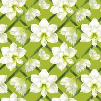 White Hippeastrum garden, watercolor seamless pattern on a light green background with clipping path