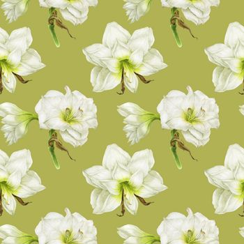 White Hippeastrum flowers, watercolor seamless pattern on a green background with clipping path