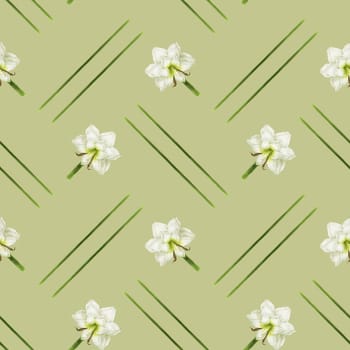 Olive seamless pattern with white hippeastrum flower with clipping path