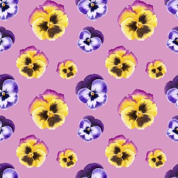 Blue and yellow pansy flowers watercolor seamless pattern on a pink background with clipping path