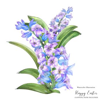 Hyachinth spring bouquet on a white background, floral watercolor illustration with clipping path included