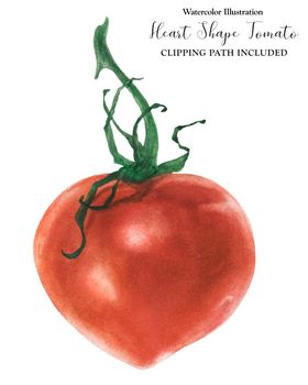 Heart-shape red tomato, watercolor with clipping path