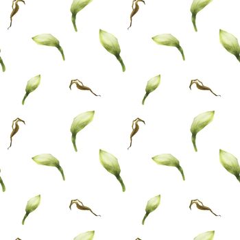 White Hippeastrum watercolor seamless pattern on a light green background with clipping path