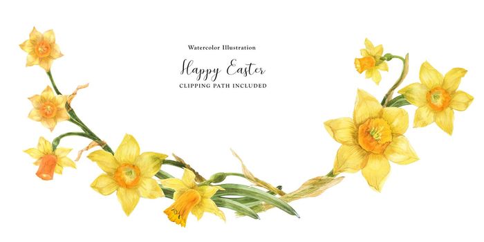 Daffodil flowers in floral watercolor arc on a white background, clipping path included